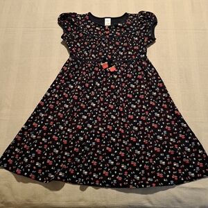 Gymboree size 10 girls Holland Days knit tulip dress